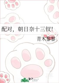 赔对,朝婿奈十三钗!